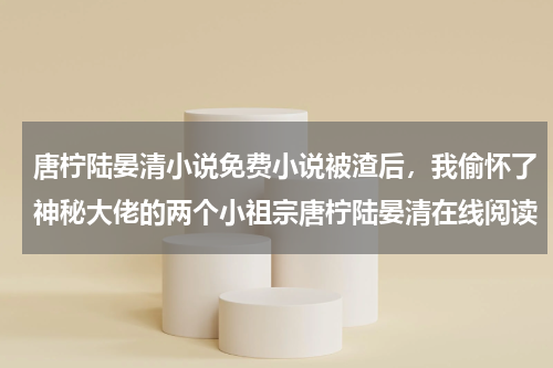唐柠陆晏清小说免费小说被渣后，我偷怀了神秘大佬的两个小祖宗唐柠陆晏清在线阅读