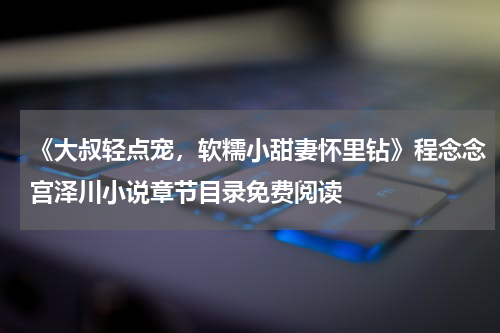 《大叔轻点宠，软糯小甜妻怀里钻》程念念宫泽川小说章节目录免费阅读