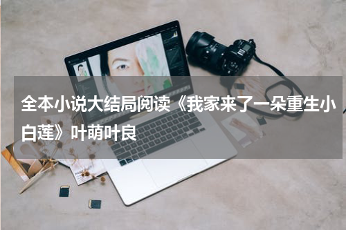 全本小说大结局阅读《我家来了一朵重生小白莲》叶萌叶良