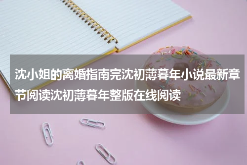 沈小姐的离婚指南完沈初薄暮年小说最新章节阅读沈初薄暮年整版在线阅读