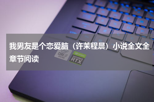 我男友是个恋爱脑（许茉程晨）小说全文全章节阅读