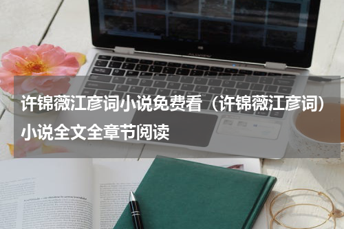 许锦薇江彦词小说免费看（许锦薇江彦词）小说全文全章节阅读