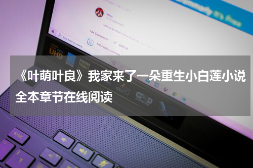 《叶萌叶良》我家来了一朵重生小白莲小说全本章节在线阅读