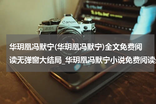 华玥凰冯默宁(华玥凰冯默宁)全文免费阅读无弹窗大结局_华玥凰冯默宁小说免费阅读最新章节列表_笔趣阁（华玥凰冯默宁）