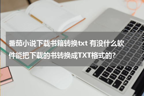 番茄小说下载书籍转换txt 有没什么软件能把下载的书转换成TXT格式的？