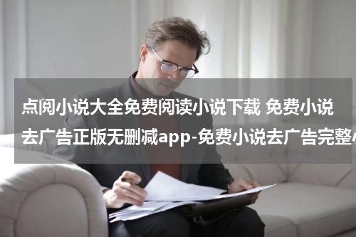 点阅小说大全免费阅读小说下载 免费小说去广告正版无删减app-免费小说去广告完整小说的软件