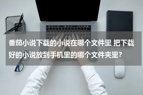 番茄小说下载的小说在哪个文件里 把下载好的小说放到手机里的哪个文件夹里？