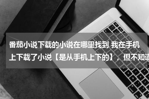 番茄小说下载的小说在哪里找到 我在手机上下载了小说【是从手机上下的】，但不知道在哪里，找不到了……