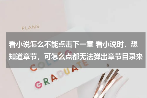 看小说怎么不能点击下一章 看小说时，想知道章节，可怎么点都无法弹出章节目录来