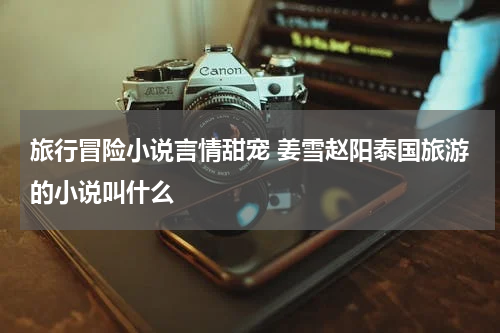旅行冒险小说言情甜宠 姜雪赵阳泰国旅游的小说叫什么
