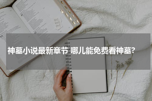 神墓小说最新章节 哪儿能免费看神墓?