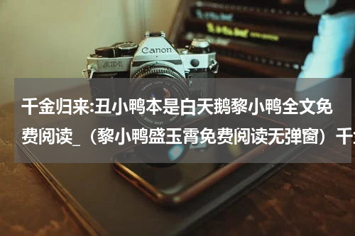 千金归来:丑小鸭本是白天鹅黎小鸭全文免费阅读_（黎小鸭盛玉霄免费阅读无弹窗）千金归来:丑小鸭本是白天鹅黎小鸭最新章节列表笔趣阁（黎小鸭盛玉霄）