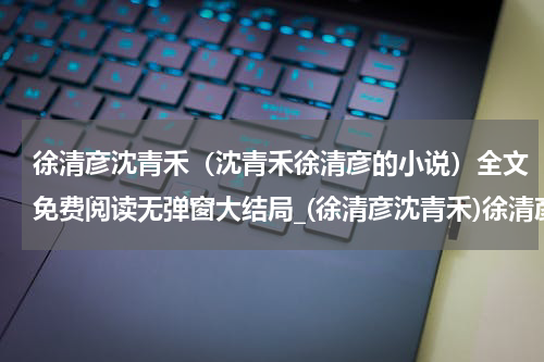 徐清彦沈青禾（沈青禾徐清彦的小说）全文免费阅读无弹窗大结局_(徐清彦沈青禾)徐清彦沈青禾免费阅读无弹窗最新章节列表_笔趣阁（沈青禾徐清彦的小说）