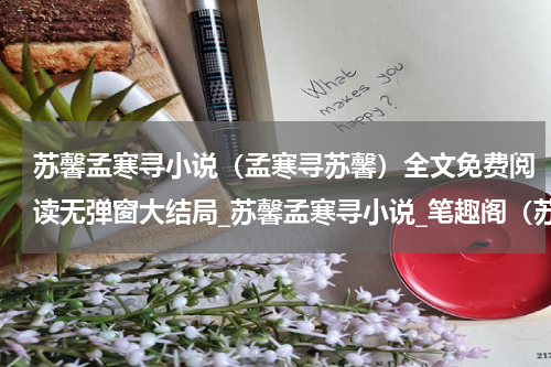 苏馨孟寒寻小说（孟寒寻苏馨）全文免费阅读无弹窗大结局_苏馨孟寒寻小说_笔趣阁（苏馨孟寒寻小说）
