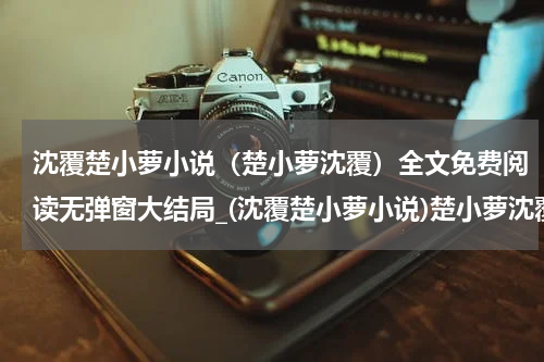 沈覆楚小萝小说（楚小萝沈覆）全文免费阅读无弹窗大结局_(沈覆楚小萝小说)楚小萝沈覆小说免费阅读无弹窗最新章节列表_笔趣阁（楚小萝沈覆）