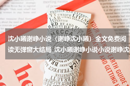 沈小曦谢峥小说（谢峥沈小曦）全文免费阅读无弹窗大结局_沈小曦谢峥小说小说谢峥沈小曦最新章节列表_笔趣阁(谢峥沈小曦）