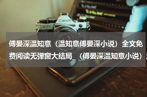 傅晏深温知意（温知意傅晏深小说）全文免费阅读无弹窗大结局_（傅晏深温知意小说）温知意傅晏深最新章节列表_笔趣阁（温知意傅晏深小说）