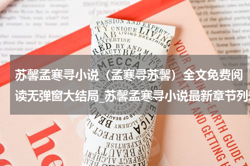 苏馨孟寒寻小说（孟寒寻苏馨）全文免费阅读无弹窗大结局_苏馨孟寒寻小说最新章节列表_笔趣阁（孟寒寻苏馨）