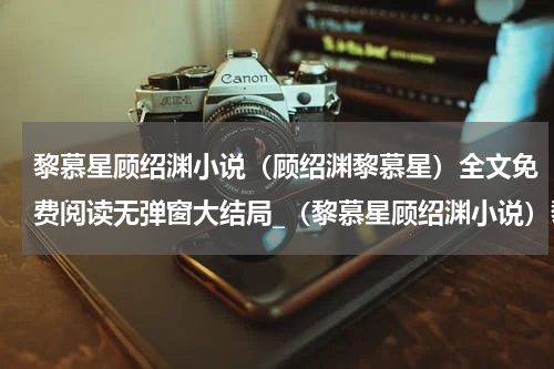 黎慕星顾绍渊小说（顾绍渊黎慕星）全文免费阅读无弹窗大结局_（黎慕星顾绍渊小说）黎慕星顾绍渊小说最新章节列表_笔趣阁（黎慕星顾绍渊小说）