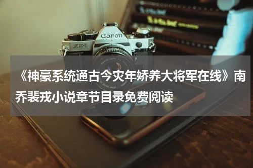 《神豪系统通古今灾年娇养大将军在线》南乔裴戎小说章节目录免费阅读