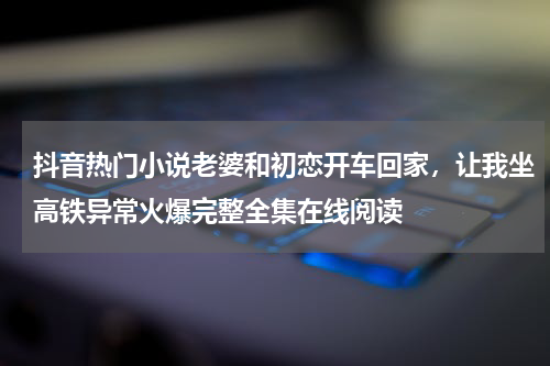 抖音热门小说老婆和初恋开车回家，让我坐高铁异常火爆完整全集在线阅读